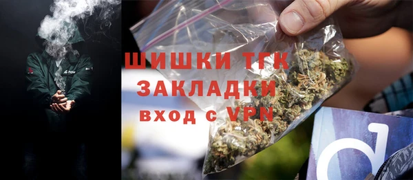 спайс Корсаков