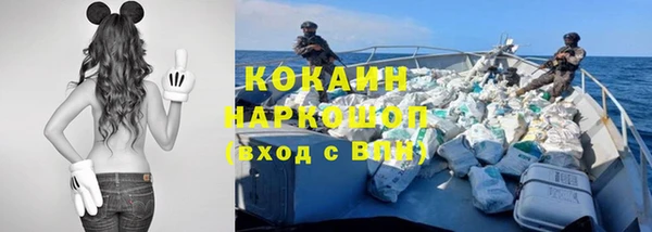 спайс Корсаков