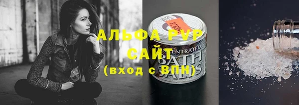 спайс Корсаков