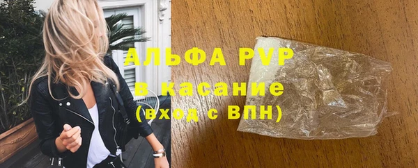 спайс Корсаков