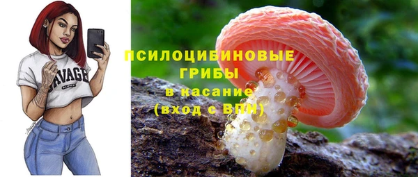 прущий лед Краснослободск