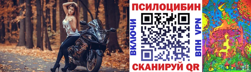 как найти закладки  Малгобек  Псилоцибиновые грибы GOLDEN TEACHER 